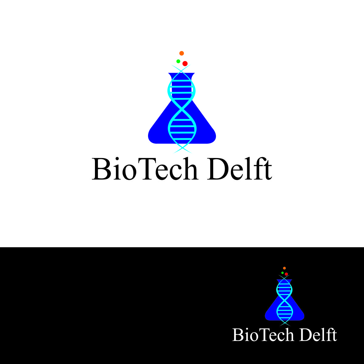 Logo Design by Positive Frame works for BSDL - TU Delft | Design #9242609