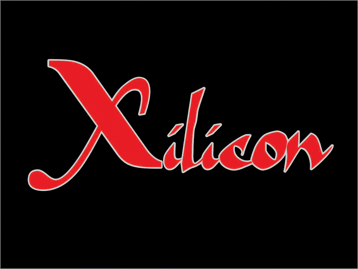 Logo Design by nibzzmathews for Xilicon | Design #8410927