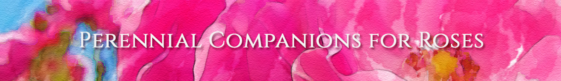Banner Ad Design by Sergio Coelho for Garden and Lifestyle LLC | Design #8531289