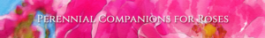 Banner Ad Design by Sergio Coelho for Garden and Lifestyle LLC | Design: #8531289