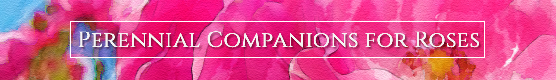 Banner Ad Design by Sergio Coelho for Garden and Lifestyle LLC | Design #8531369