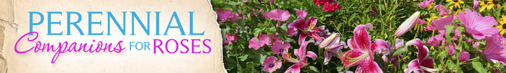 Diseño De Banner Publicitario por earldesigns para Garden and Lifestyle LLC | Diseño #8507892