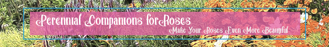 Banner Ad Design by Kristina Andonoff for Garden and Lifestyle LLC | Design #8526135