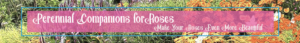 Banner Ad Design by Kristina Andonoff for Garden and Lifestyle LLC | Design: #8526135