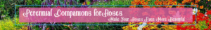 Banner Ad Design by Kristina Andonoff for Garden and Lifestyle LLC | Design: #8526136