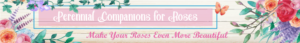 Banner Ad Design by Kristina Andonoff for Garden and Lifestyle LLC | Design: #8532852
