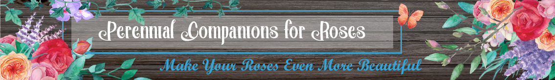 Banner Ad Design by Kristina Andonoff for Garden and Lifestyle LLC | Design #8532853