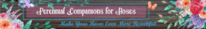 Banner Ad Design by Kristina Andonoff for Garden and Lifestyle LLC | Design: #8532854