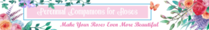 Banner Ad Design by Kristina Andonoff for Garden and Lifestyle LLC | Design: #8532856