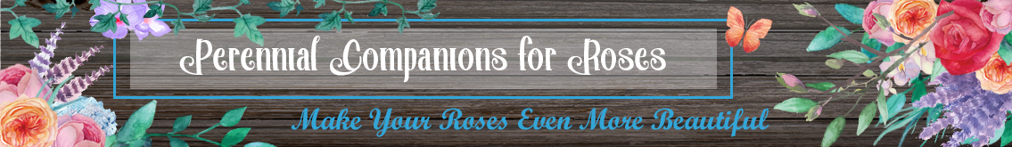 Banner Ad Design by Kristina Andonoff for Garden and Lifestyle LLC | Design #8532912