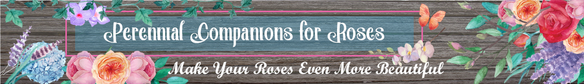 Banner Ad Design by Kristina Andonoff for Garden and Lifestyle LLC | Design #8532913