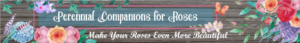 Banner Ad Design by Kristina Andonoff for Garden and Lifestyle LLC | Design: #8532913
