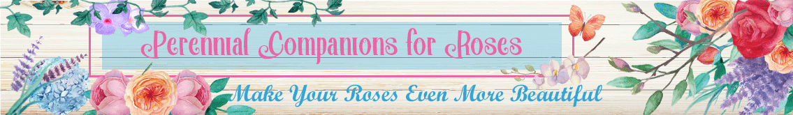 Banner Ad Design by Kristina Andonoff for Garden and Lifestyle LLC | Design #8532914