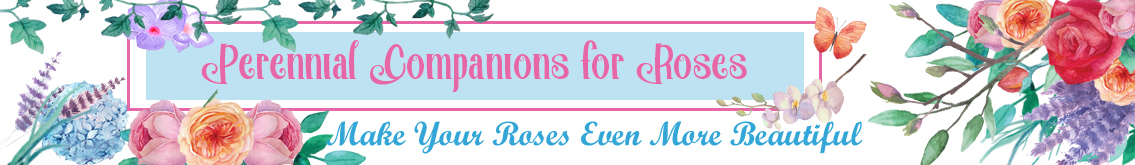 Banner Ad Design by Kristina Andonoff for Garden and Lifestyle LLC | Design #8532915