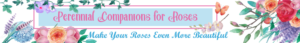Banner Ad Design by Kristina Andonoff for Garden and Lifestyle LLC | Design: #8532915