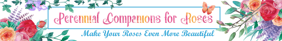 Banner Ad Design by Kristina Andonoff for Garden and Lifestyle LLC | Design #8532916