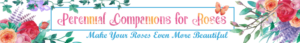 Banner Ad Design by Kristina Andonoff for Garden and Lifestyle LLC | Design: #8532916
