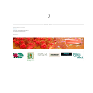 Banner Ad Design by sofiy for Garden and Lifestyle LLC | Design: #8527855