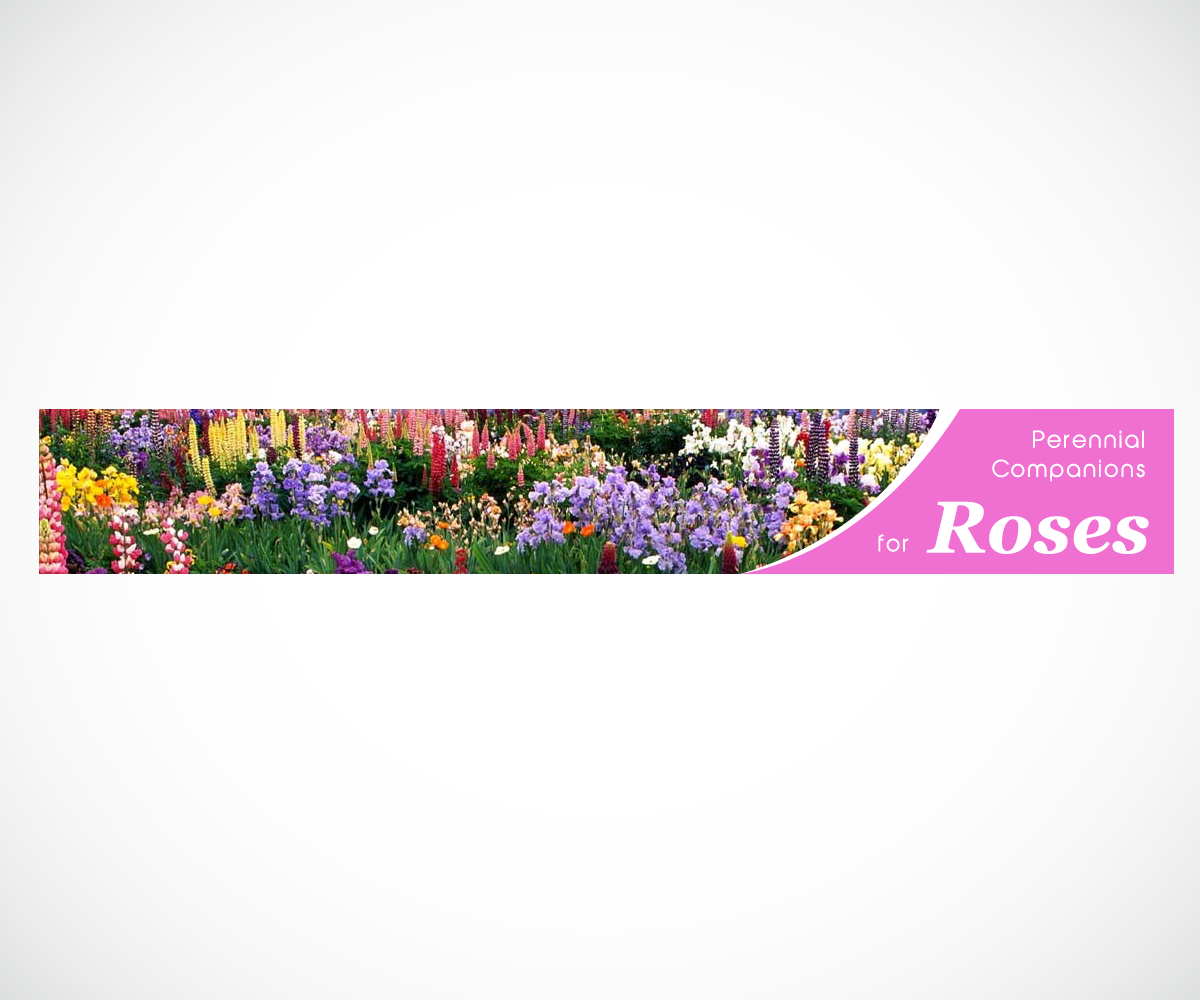 Banner Ad Design by wolf for Garden and Lifestyle LLC | Design #8617544