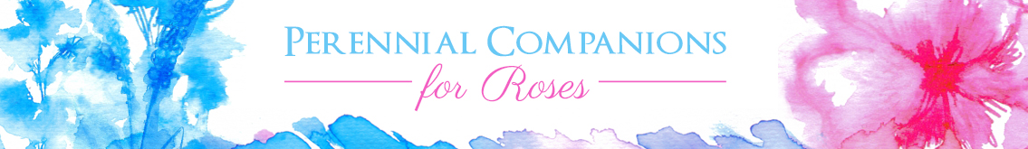 Banner Ad Design by MNM for Garden and Lifestyle LLC | Design #8504120