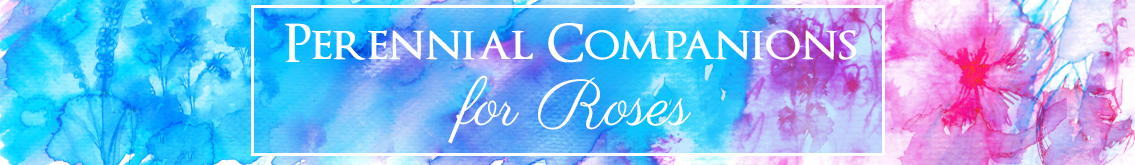 Diseño De Banner Publicitario por MNM para Garden and Lifestyle LLC | Diseño #8504121