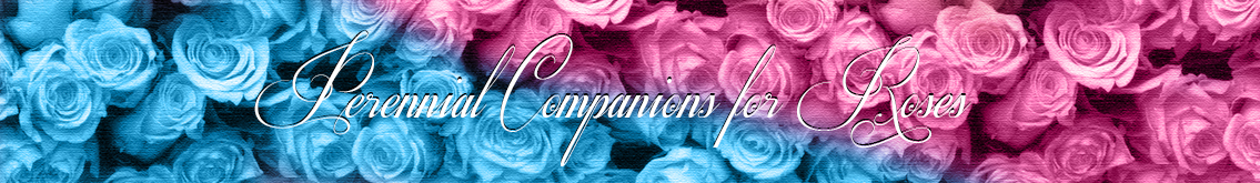 Banner Ad Design by seherr for Garden and Lifestyle LLC | Design #8523431