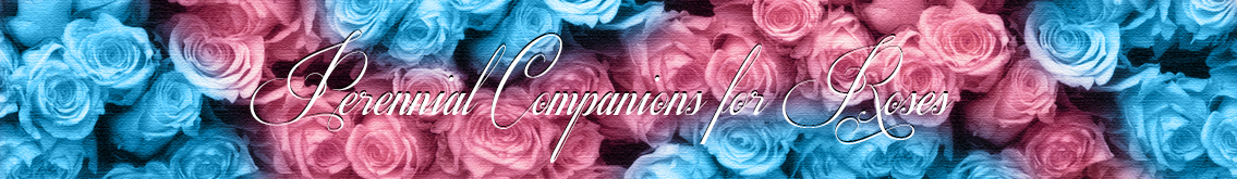 Banner Ad Design by seherr for Garden and Lifestyle LLC | Design #8523432