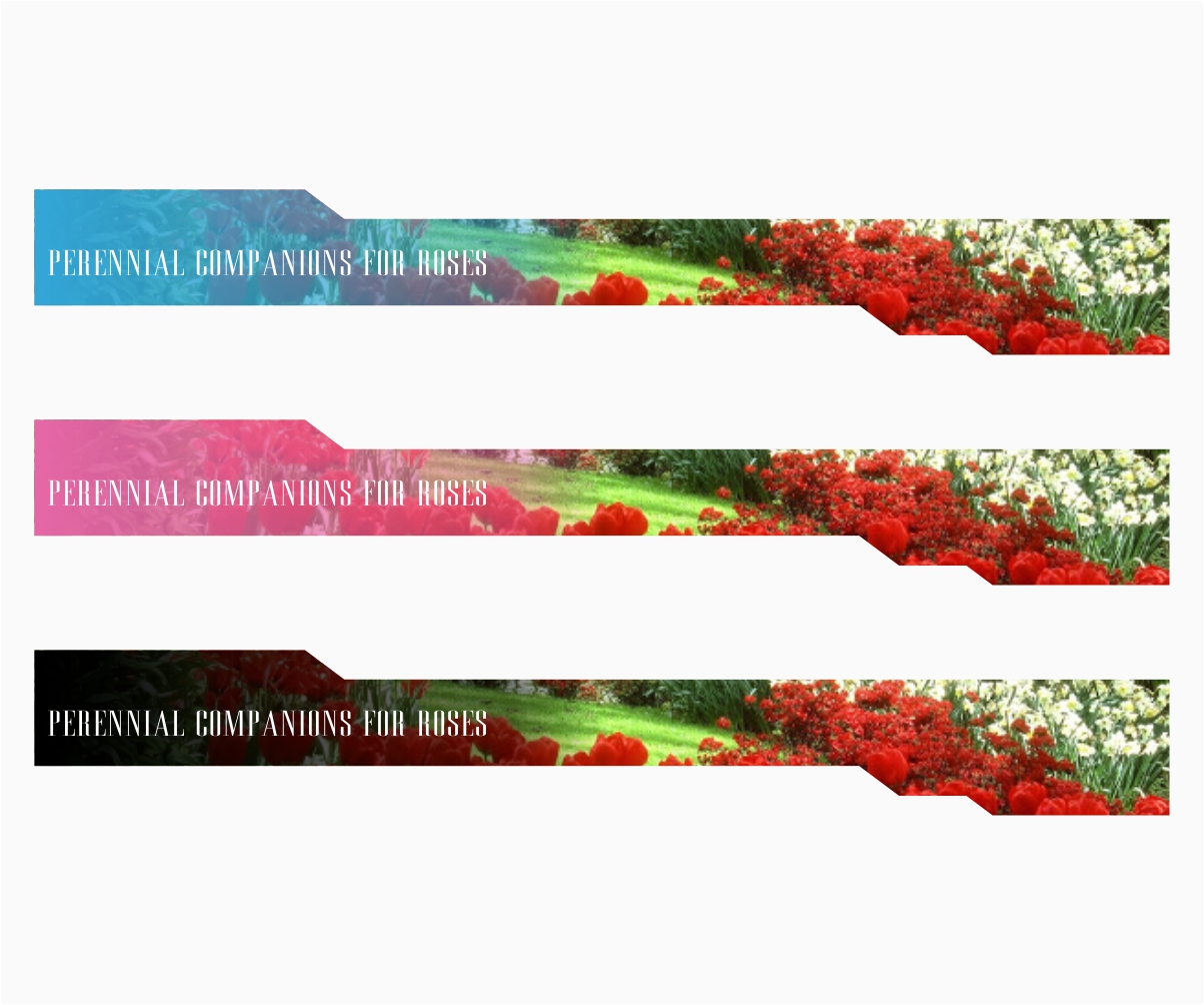 Banner Ad Design by dreams and reality for Garden and Lifestyle LLC | Design #8499919