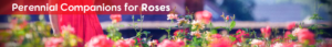 Banner Ad Design by Gfx.26™ for Garden and Lifestyle LLC | Design: #8519641