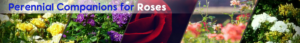 Banner Ad Design by Gfx.26™ for Garden and Lifestyle LLC | Design: #8519642