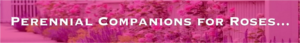 Banner Ad Design by 3pixelzpm for Garden and Lifestyle LLC | Design: #8522345