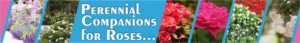 Banner Ad Design by 3pixelzpm for Garden and Lifestyle LLC | Design: #8522347