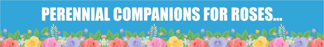 Banner Ad Design by 3pixelzpm for Garden and Lifestyle LLC | Design #8522350