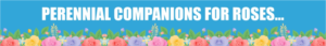 Banner Ad Design by 3pixelzpm for Garden and Lifestyle LLC | Design: #8522350