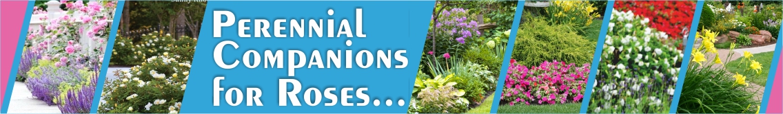 Banner Ad Design by 3pixelzpm for Garden and Lifestyle LLC | Design #8531317