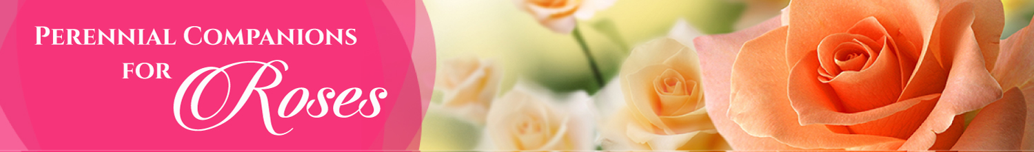 Diseño De Banner Publicitario por Raj para Garden and Lifestyle LLC | Diseño #8535302