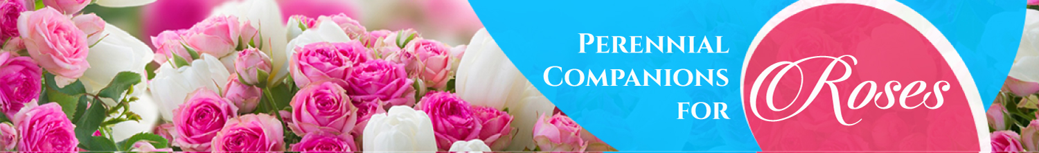 Banner Ad Design by Raj for Garden and Lifestyle LLC | Design #8535311