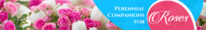 Banner Ad Design by Raj for Garden and Lifestyle LLC | Design: #8535311