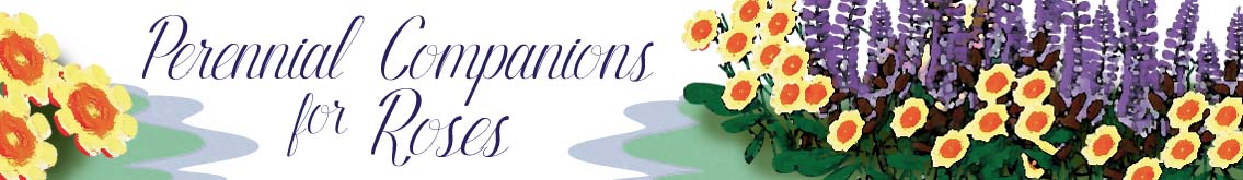 Banner Ad Design by Colourfix for Garden and Lifestyle LLC | Design #8500654