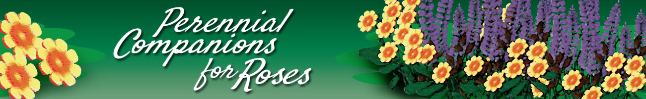 Banner Ad Design by Colourfix for Garden and Lifestyle LLC | Design #8528068