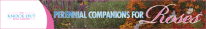 Banner Ad Design by Krishthombre