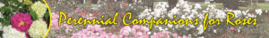 Banner Ad Design by kaja4good