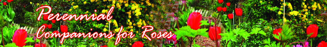 Banner Ad Design by kaja4good for Garden and Lifestyle LLC | Design #8501942