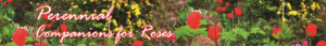 Banner Ad Design by kaja4good for Garden and Lifestyle LLC | Design: #8501942