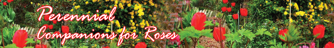 Banner Ad Design by kaja4good for Garden and Lifestyle LLC | Design #8506149