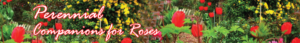 Banner Ad Design by kaja4good for Garden and Lifestyle LLC | Design: #8506149