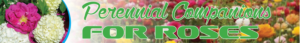 Banner Ad Design by kaja4good for Garden and Lifestyle LLC | Design: #8532473