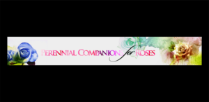 Banner Ad Design by vikas naik