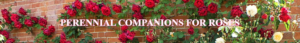 Banner Ad Design by VEGA-Designs for Garden and Lifestyle LLC | Design: #8524296