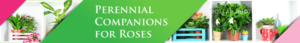 Banner Ad Design by DiDi's for Garden and Lifestyle LLC | Design: #8506010